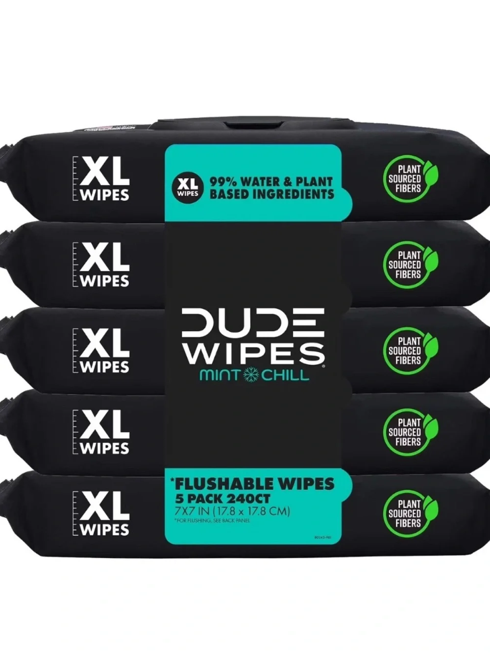DUDE Wipes Flushable Wipes, XL Wet Wipes for At Home Use, Mint Chill, 240 Count